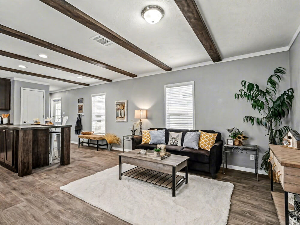 The Declaration by New Vision Manufacturing Living room of The Declaration - 16x76 3 Bedroom Home for Sale